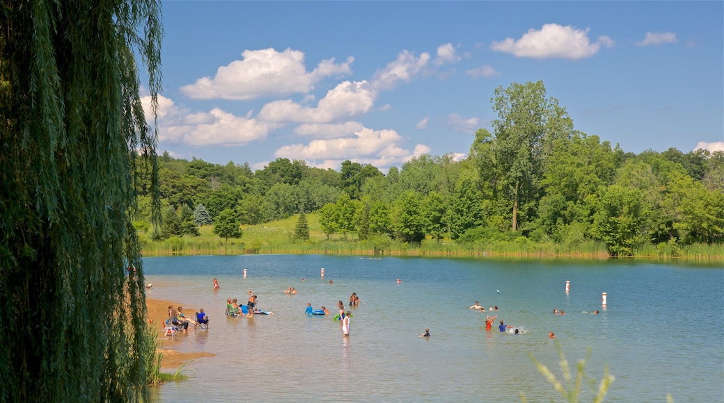 Markin Glen County Park mostrando lago o sorgente d\'acqua e nuoto cosi come un piccolo gruppo di persone