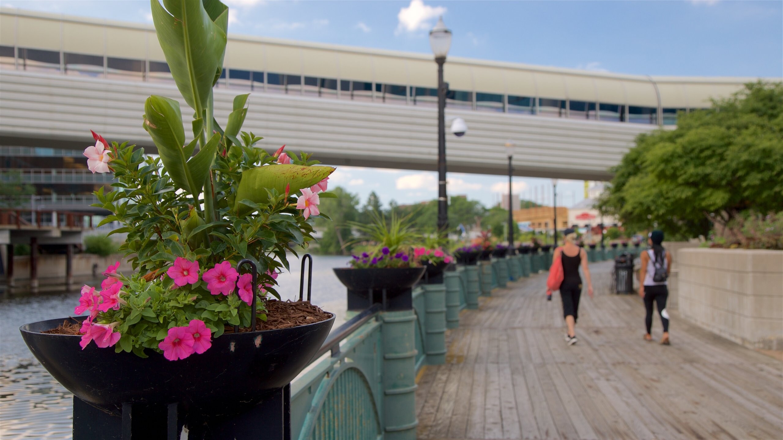 River Trail featuring a river or creek, flowers and a bridge