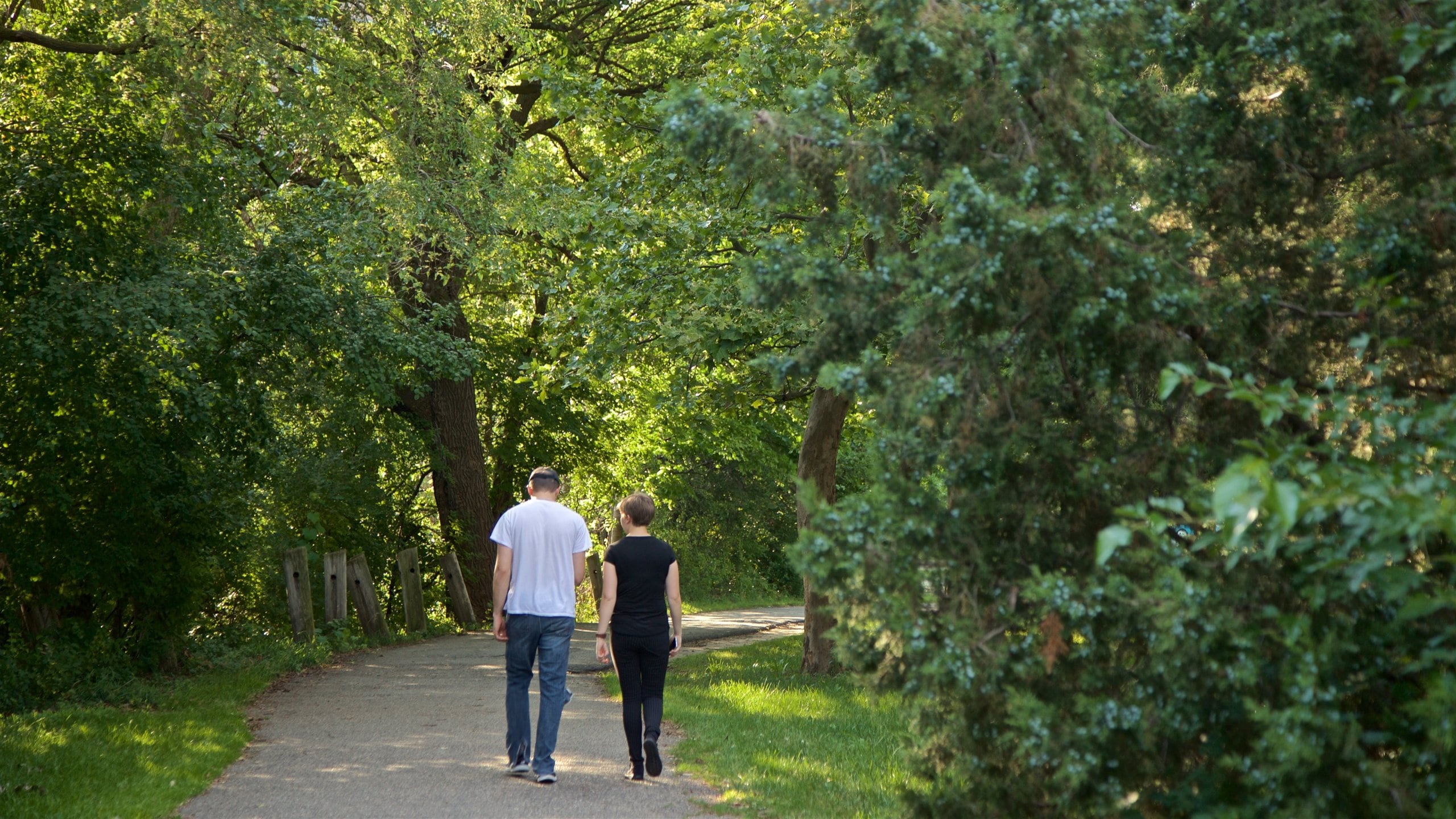 River Trail featuring a park and hiking or walking as well as a couple