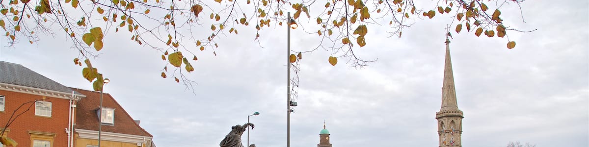 Banbury welches beinhaltet Geschichtliches und Statue oder Skulptur