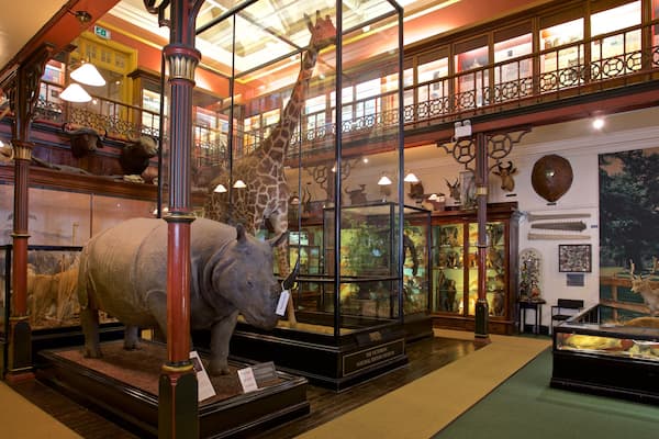 Musée d\'Ipswich mettant en vedette vues intérieures