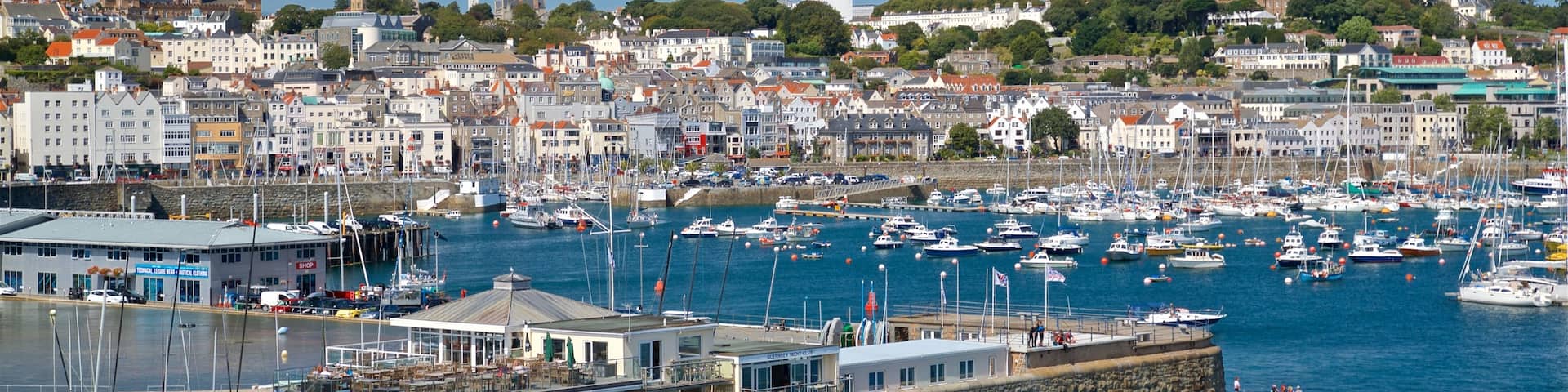 St. Peter Port showing a bay or harbour and a coastal town