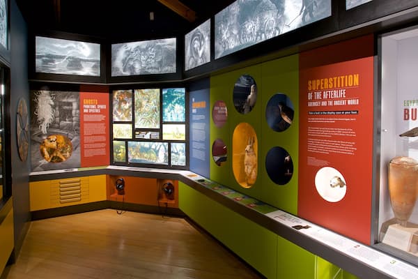 Guernsey Museum and Art Gallery which includes interior views