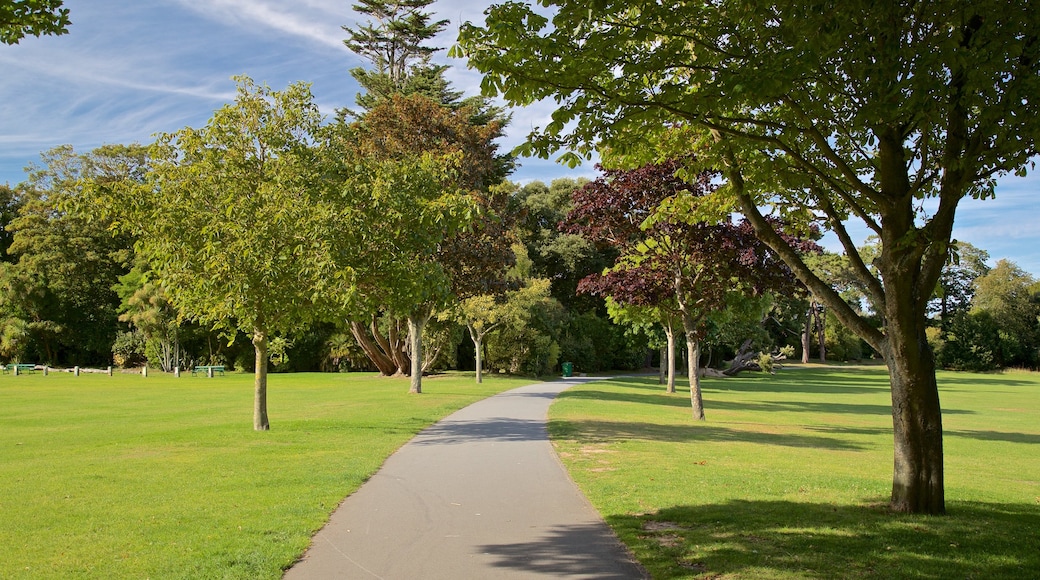 Saumarez Park showing a garden