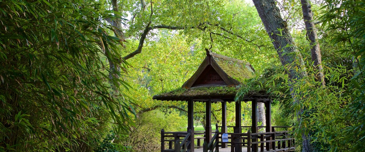 Parque Saumarez que incluye un estanque y un jardín