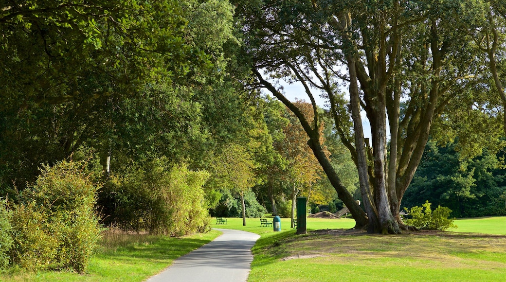 Saumarez Park som inkluderar en park