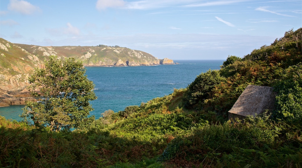 Petit Bot Bay showing rugged coastline and general coastal views