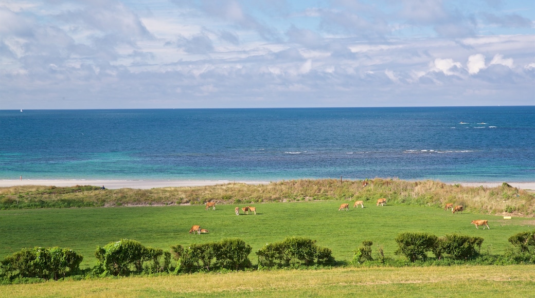 St Ouen showing landscape views, general coastal views and farmland