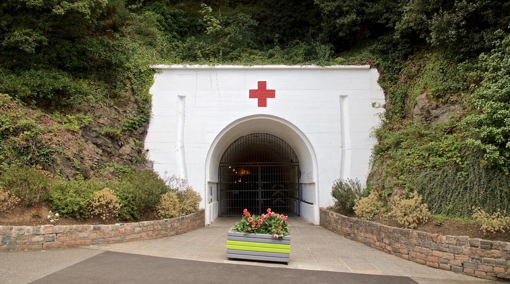 Tunnels de guerre de Jersey - Hôpital souterrain allemand mettant en vedette fleurs