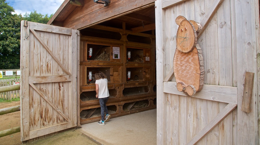 aMazin! Adventure Park & Maze showing farmland as well as an individual female