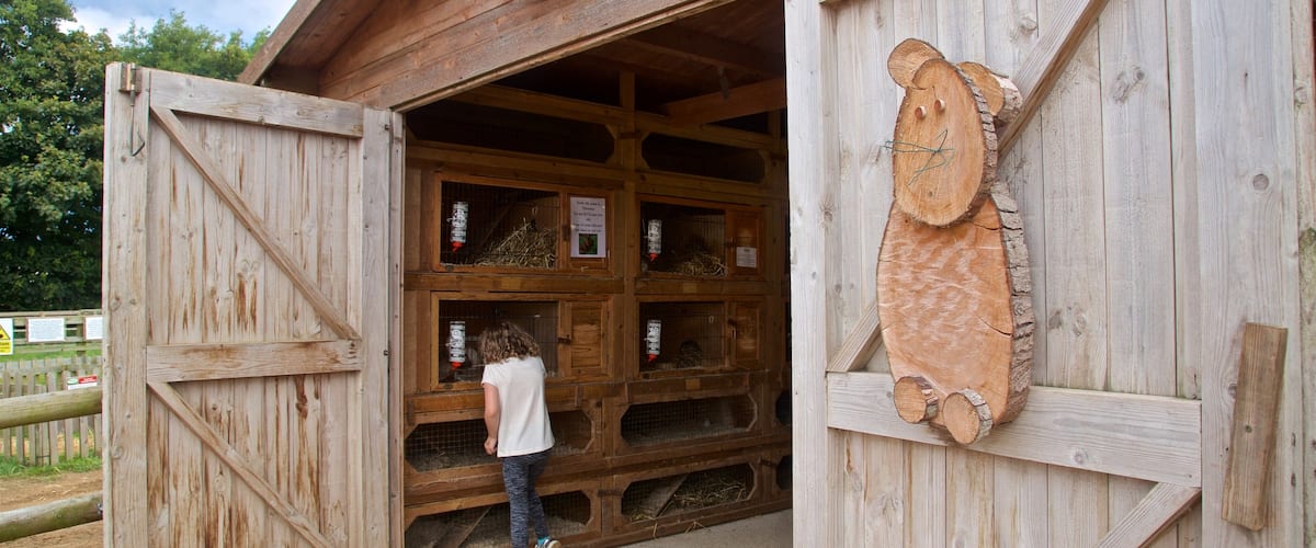 aMazin! Adventure Park & Maze showing farmland as well as an individual female