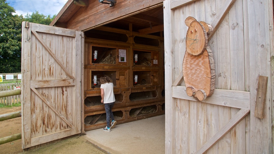 aMazin! Adventure Park & Maze mettant en vedette terre agricole aussi bien que une femme seule
