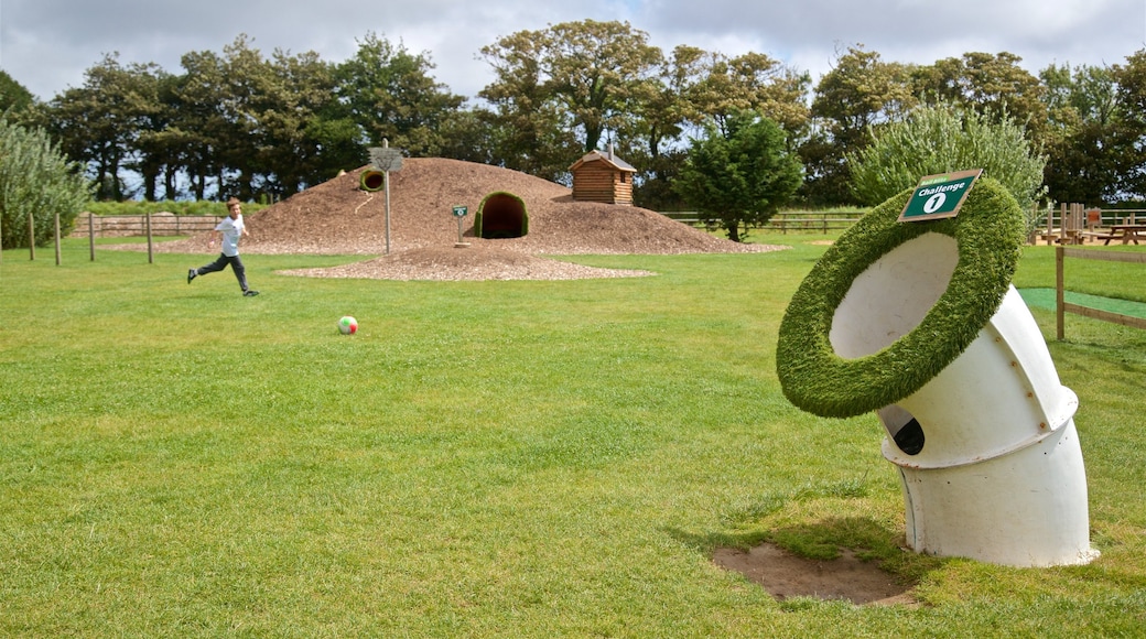 aMazin! Adventure Park & Maze showing a playground and a park as well as an individual child