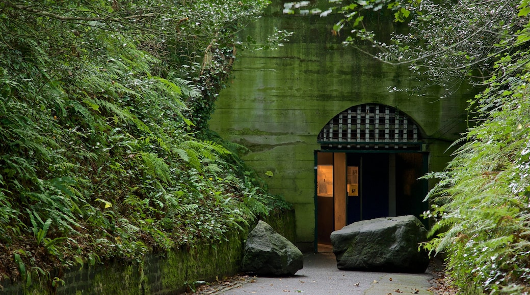 German Underground Hospital