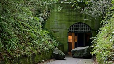 German Underground Hospital