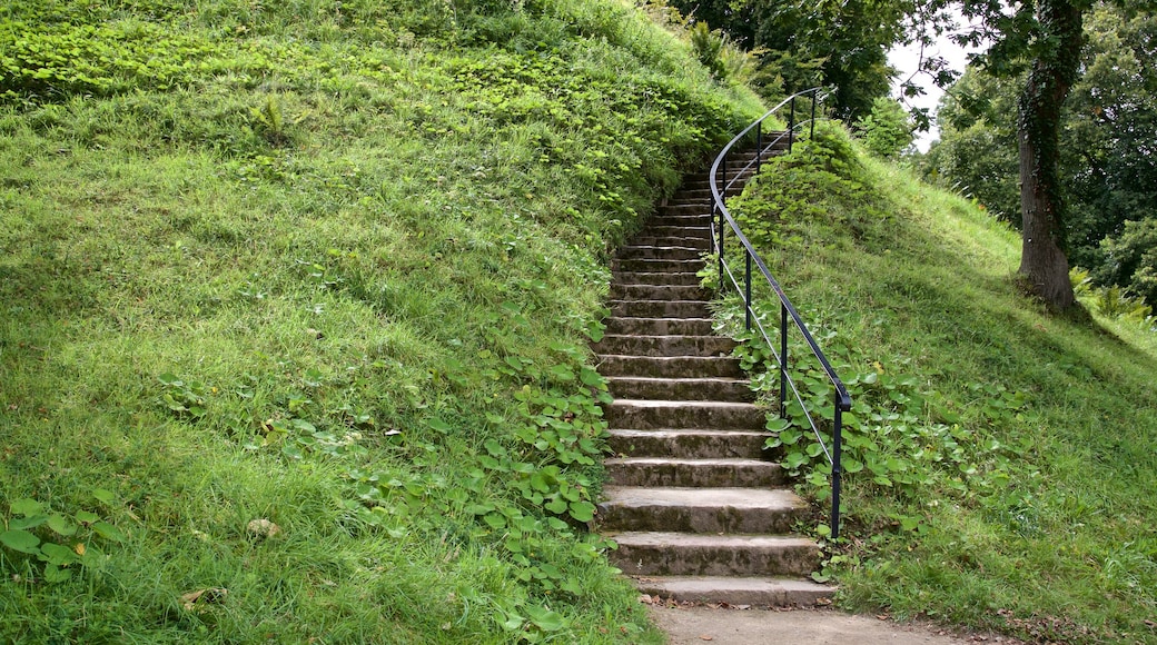 La Hougue Bie toont een park