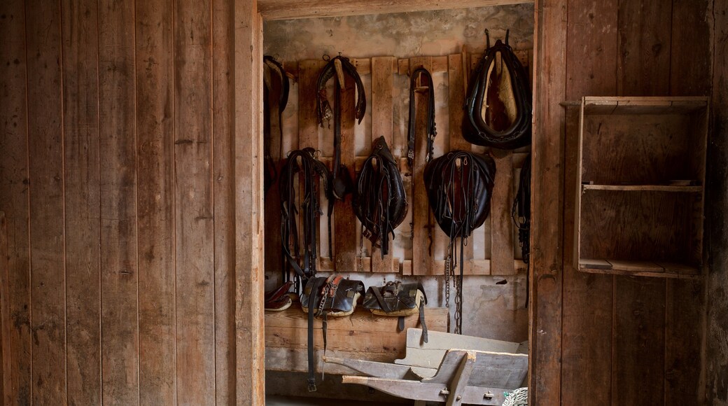 Hamptonne Country Life Museum featuring heritage elements and interior views