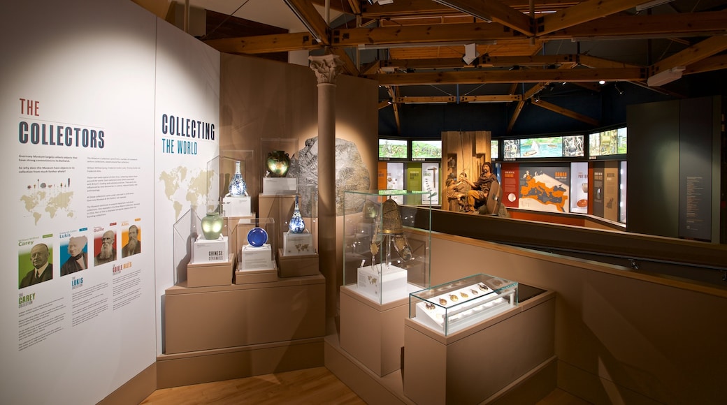 Guernsey Museum and Art Gallery showing interior views