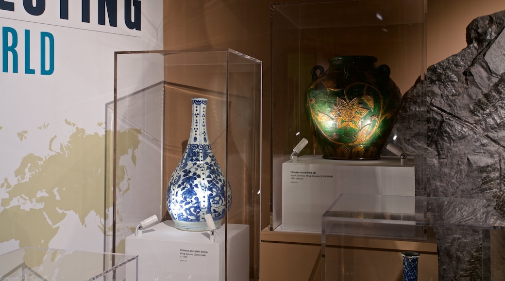 Guernsey Museum and Art Gallery featuring interior views