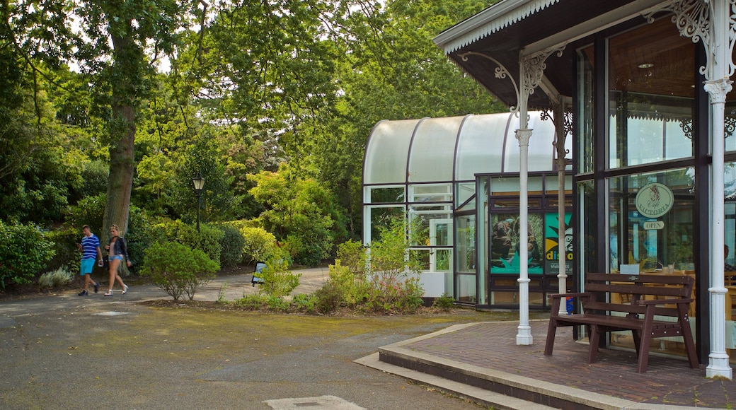 Guernsey Museum and Art Gallery showing hiking or walking as well as a couple