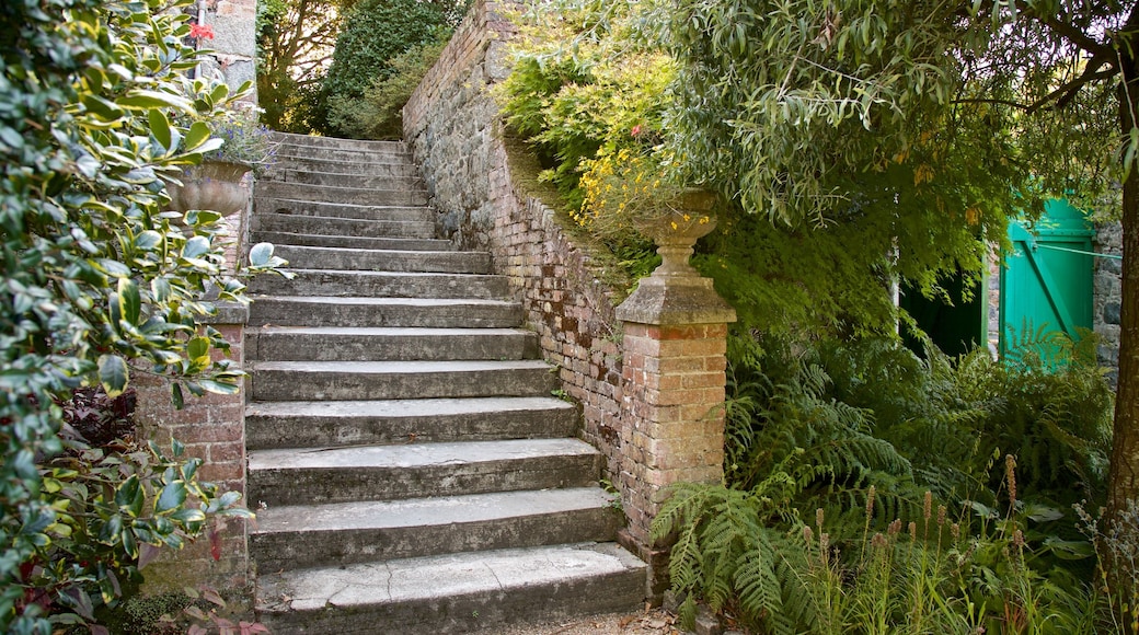 Candie Gardens som visar en trädgård