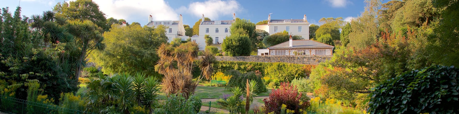 Candie Gardens das einen Park und Wildblumen