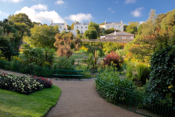Candie Gardens featuring a park and wild flowers