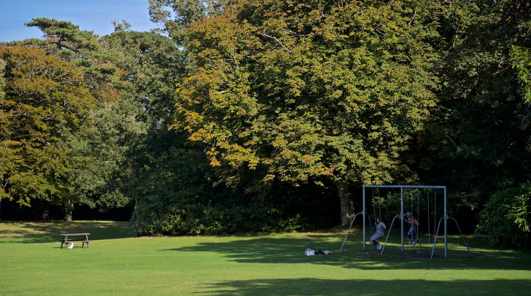 Parque Saumarez que incluye un jardín y también una pareja