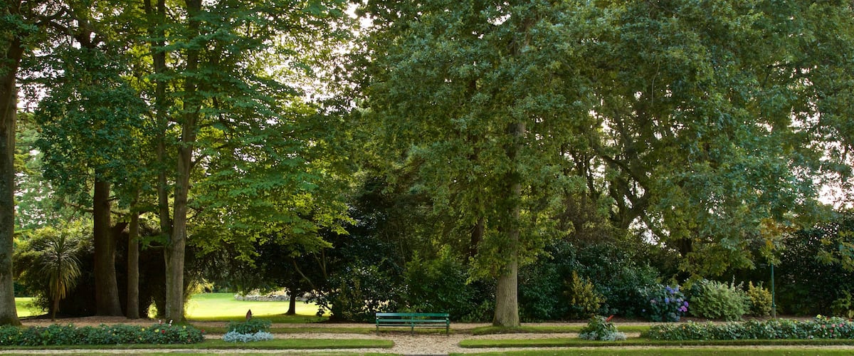 Parque Saumarez ofreciendo un jardín y una fuente