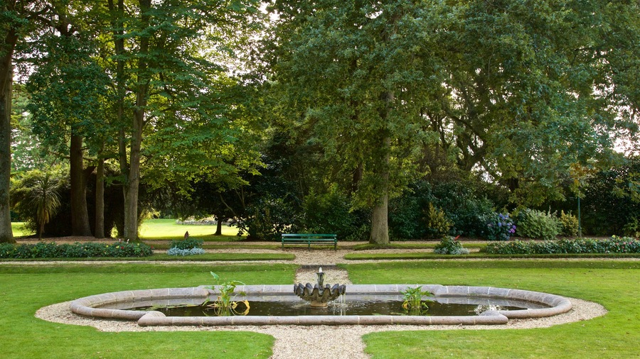Saumarez Park showing a park and a fountain