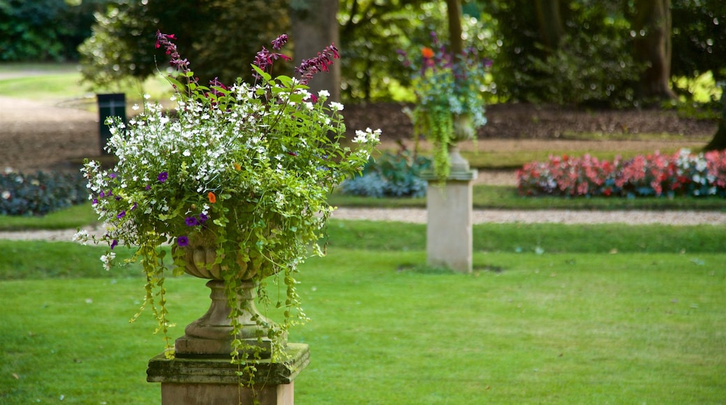 Saumarez Park featuring a garden and flowers