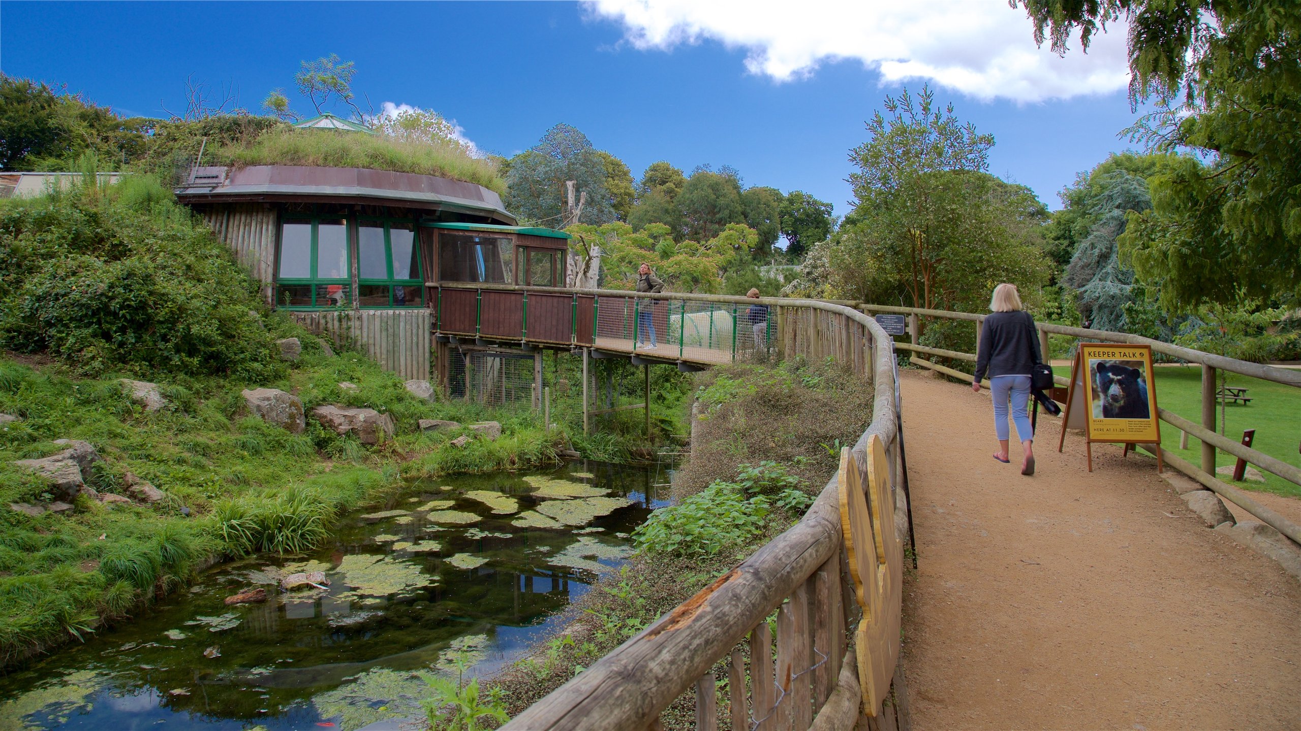 Jersey Zoological Park das einen Brücke und Teich sowie einzelne Frau