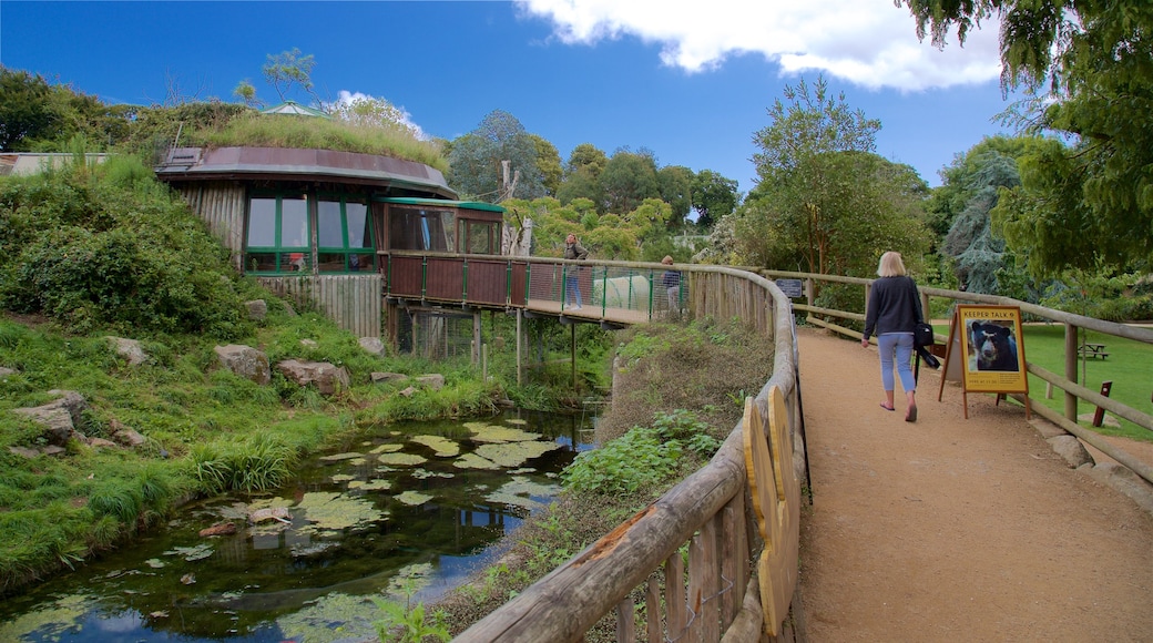 Jersey Zoological Park que incluye un puente y un estanque y también una mujer