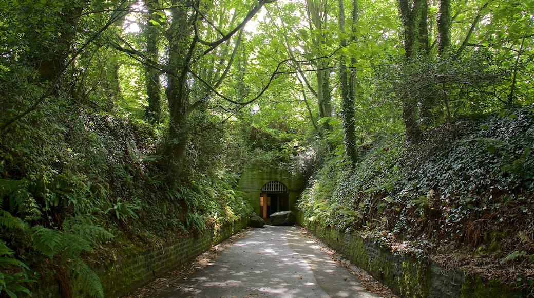 German Underground Hospital showing a park