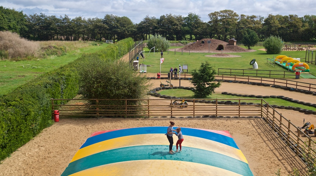 aMazin! Adventure Park & Maze showing rides as well as a family