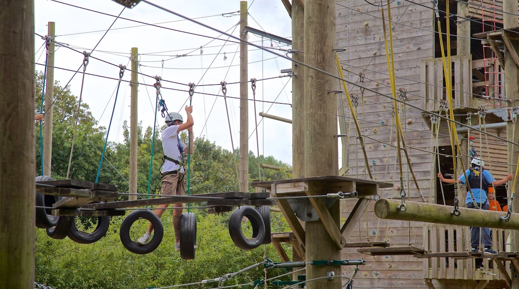 Creepy Valley Adventure Centre caracterizando uma ponte suspensa ou passarela entre as ĂĄrvores assim como um pequeno grupo de pessoas