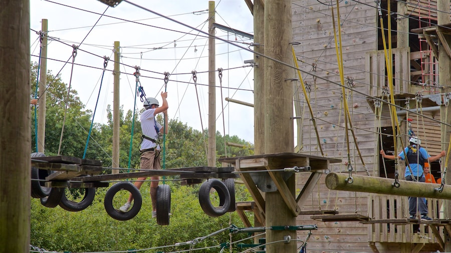 Creepy Valley Adventure Centre montrant passerelle ou pont suspendu aussi bien que petit groupe de personnes