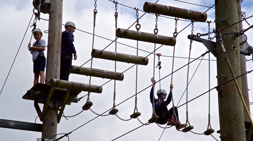 Creepy Valley Adventure Centre featuring a suspension bridge or treetop walkway as well as a small group of people