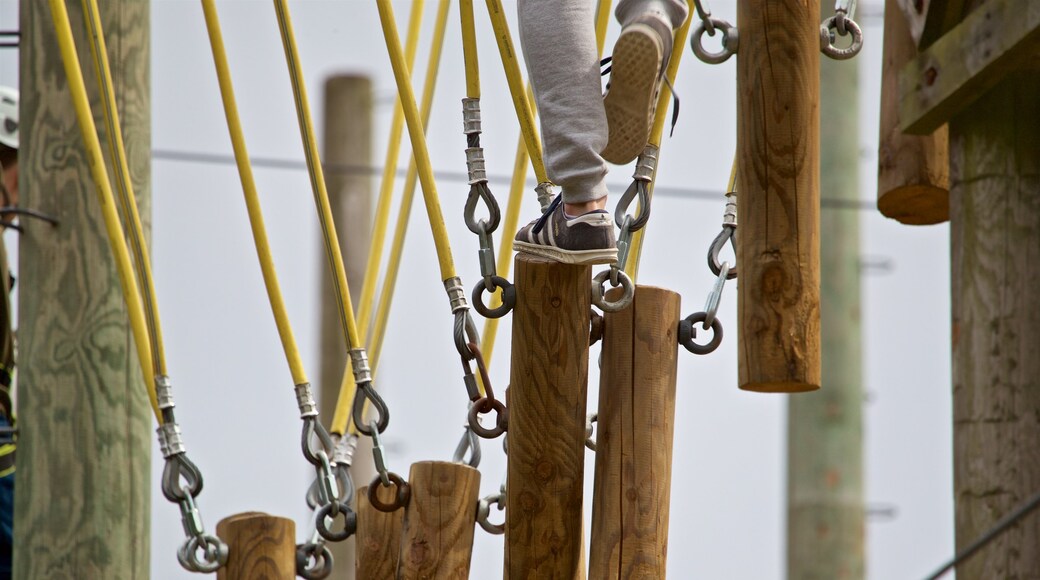 Creepy Valley Adventure Centre which includes a suspension bridge or treetop walkway