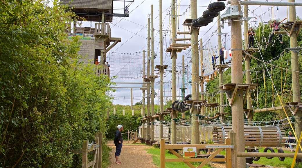 Creepy Valley Adventure Centre caracterizando uma ponte suspensa ou passarela entre as árvores assim como um homem sozinho