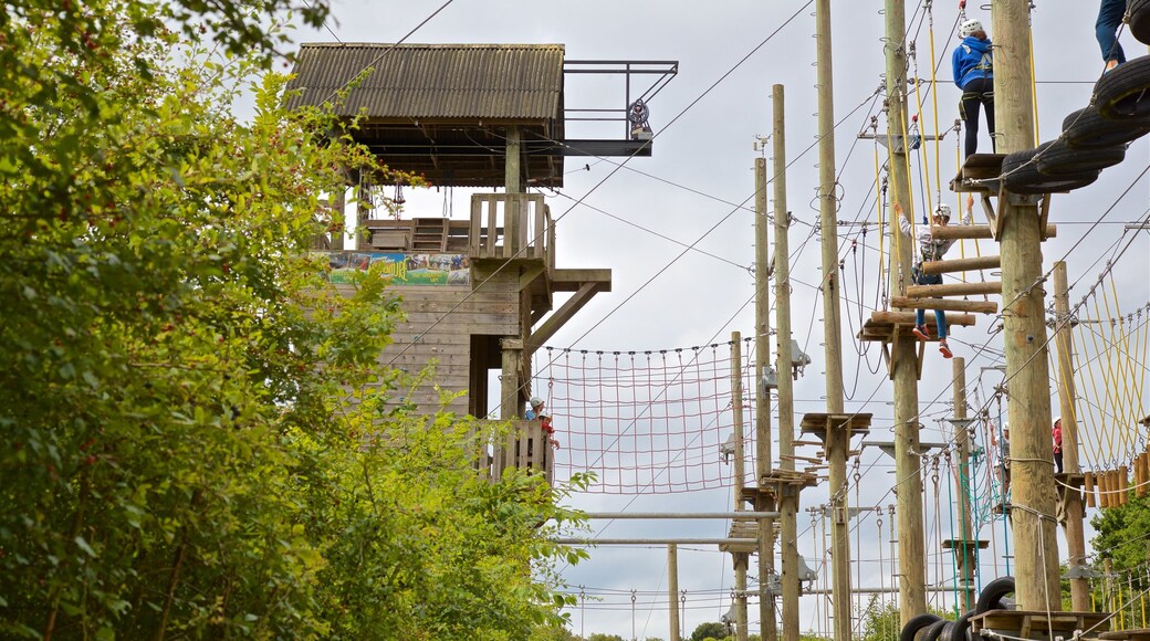 Creepy Valley Adventure Centre ซึ่งรวมถึง สะพานแขวนหรือทางเดินบนยอดไม้