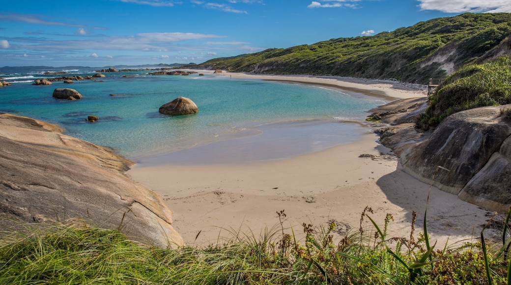 Denmark showing general coastal views, tropical scenes and a sandy beach