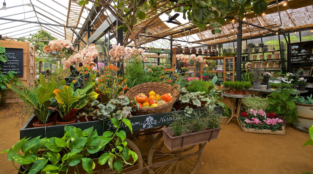 Richmond upon Thames ofreciendo comida y mercados