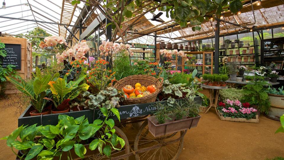 Richmond-upon-Thames showing food and markets