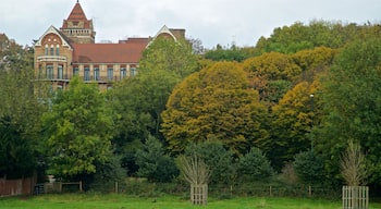 Richmond-upon-Thames featuring a garden