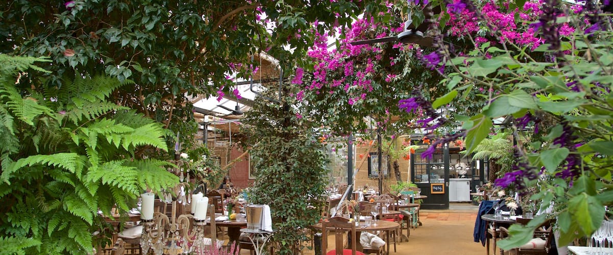 Richmond-upon-Thames featuring wild flowers and café scenes