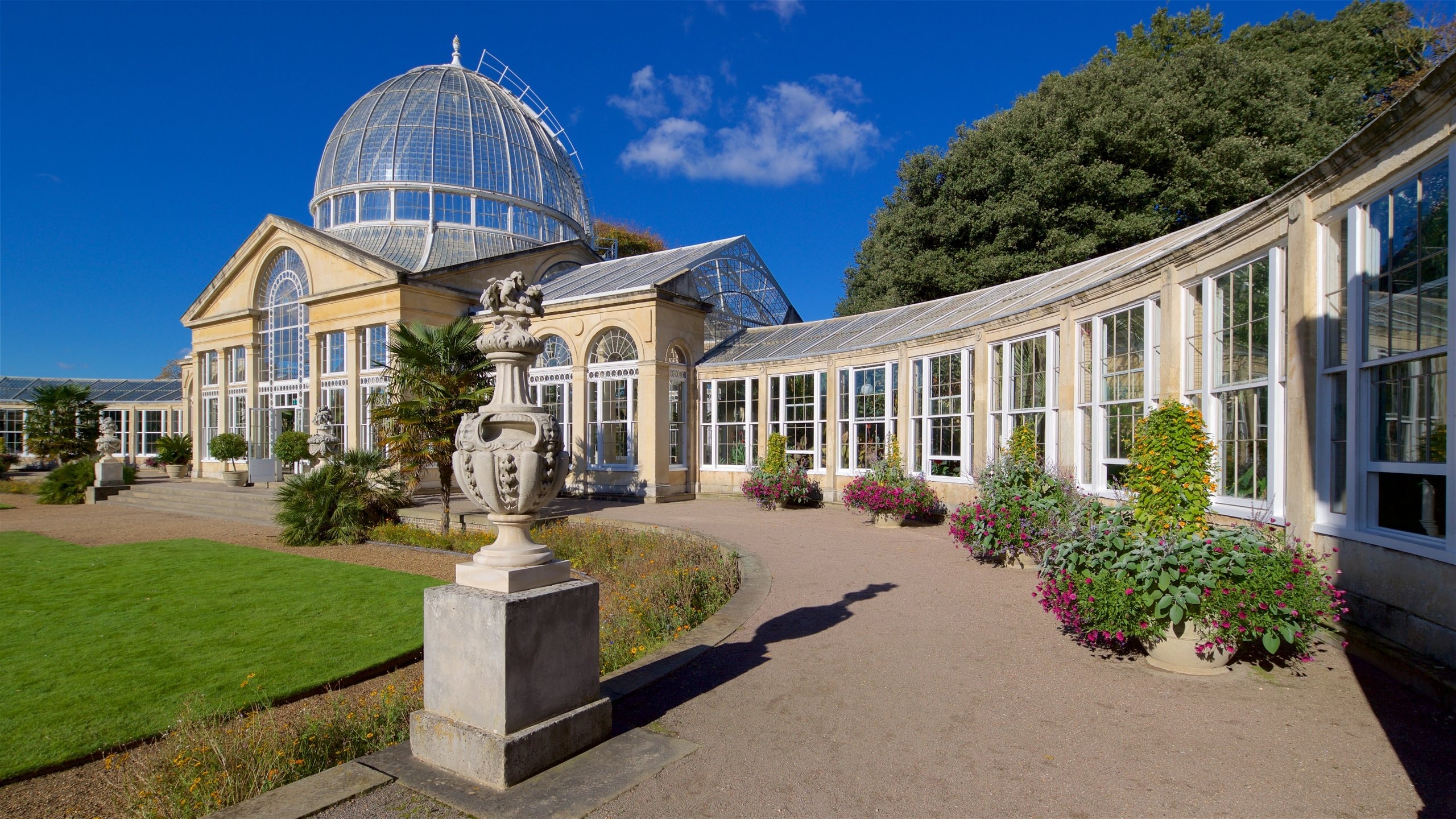 Syon Park toont wilde bloemen en een park