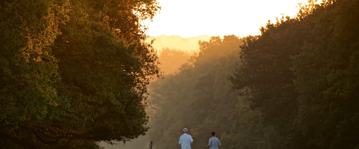Richmond Park qui includes parc, coucher de soleil et randonnée ou marche à pied