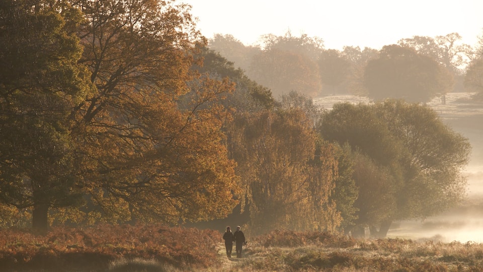 Richmond Park which includes tranquil scenes as well as a couple