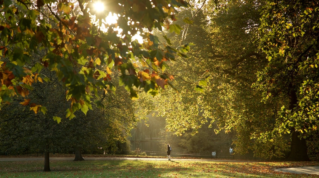 St. James Park inclusief een zonsondergang en een tuin